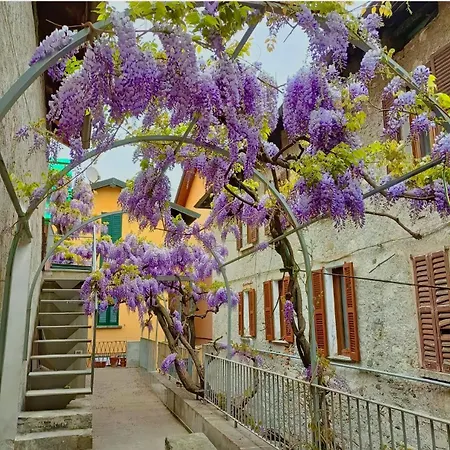 Casbah, Nel Cuore Di Daire *