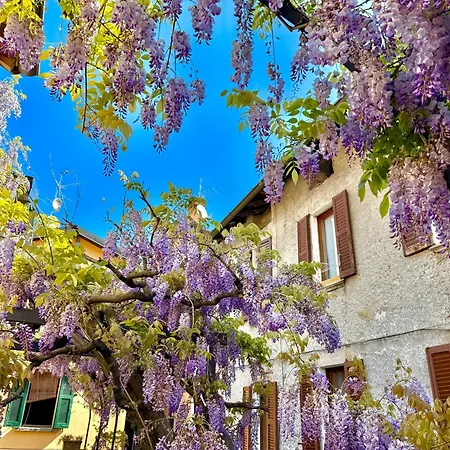 Casbah, Nel Cuore Di *